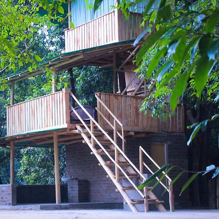 Forest Tree Top Holiday Resort Buttala Kültér fotó