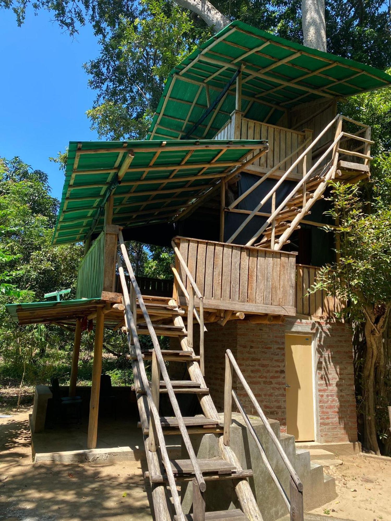Forest Tree Top Holiday Resort Buttala Kültér fotó